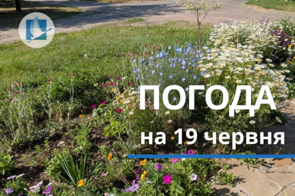 Погода на Харківщині 19.06.2026