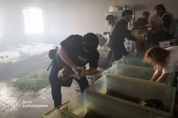 З'явилося відео перших моментів після того, як зоопарк зазнав удару. 1 З'явилося відео перших моментів після того, як зоопарк зазнав удару. 1